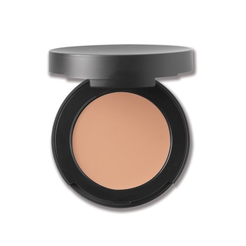 bareMinerals SPF 20 Correcting Concealer Light 1