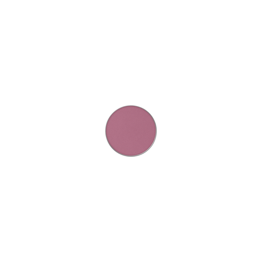 Powder Kiss Pro Palette Eye Shadow Ripened
