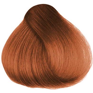 Herman´s Amazing Hair color Hailey Hazel Brown