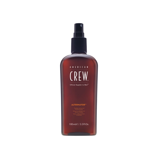 Alternator Finishing Spray 100 ml