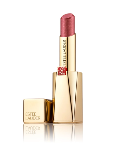 Pure Color Desire Lipstick Unspeakable