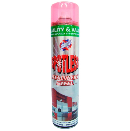 Xanto Stainless Steel Spray - 600ml