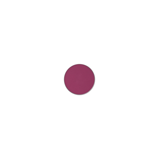 Powder Kiss Pro Palette Eye Shadow Lens Blur