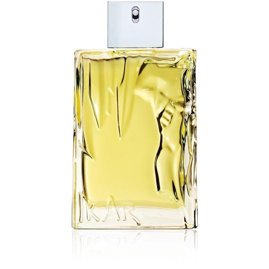 Sisley Eau d'Ikar Eau de Toilette 100 ml
