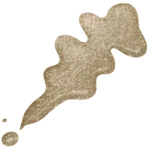 Wonder Nail Polish 652 Gold Sparkles
