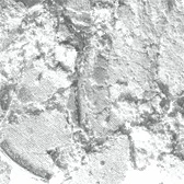 Eye Shadow Forgery