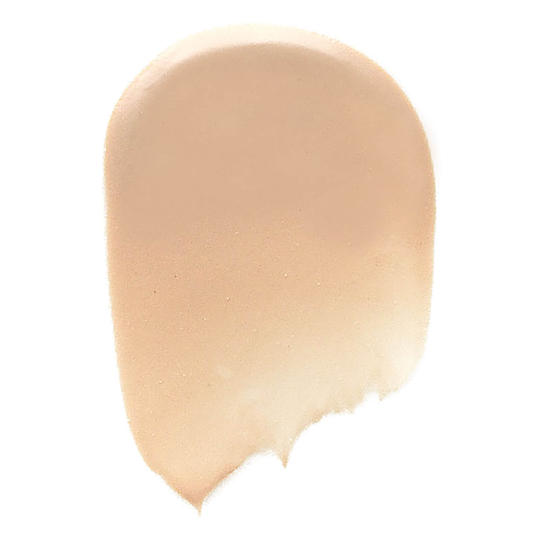 Bobbi Brown Nude Finish Tinted Moisturiser SPF 15 (olika nyanser) - Porcelain Tint