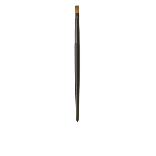 Eye Shadow Tip Lip Brush