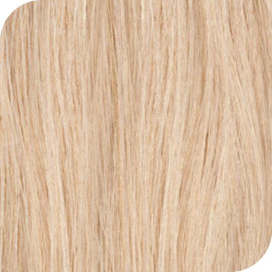 Revlon Color Excel Toningsfärg 10.02