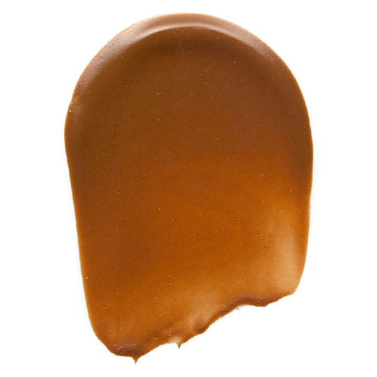 Bobbi Brown Nude Finish Tinted Moisturiser SPF 15 (olika nyanser) - Dark Tint