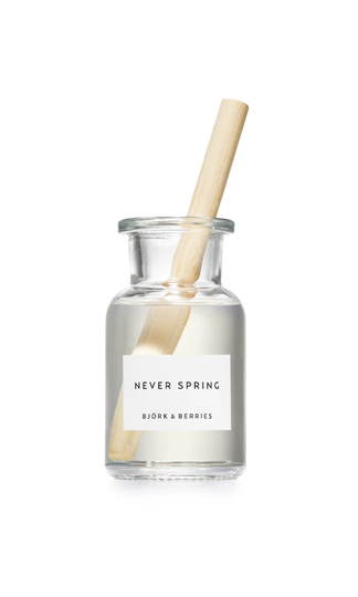 Never Spring Reed Diffuser 100 ml