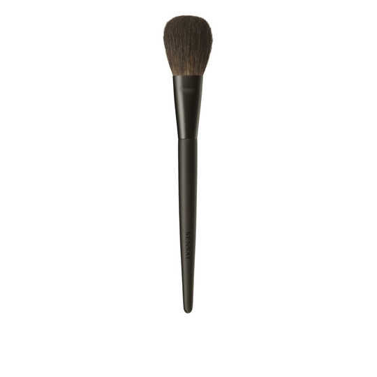 Eye Shadow Tip Cheek Brush