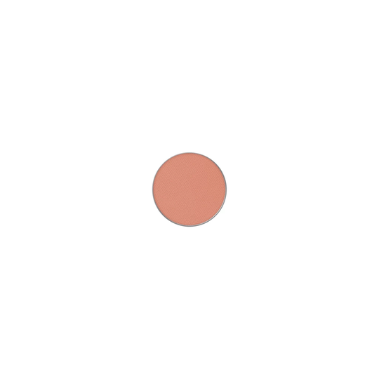 Powder Kiss Pro Palette Eye Shadow My Tweedy