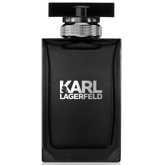 Karl Lagerfeld Pour Homme Eau de Toilette 100 ml